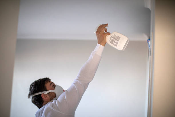 Best Same-Day Mold Removal  in Sumner, WA